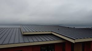 Best Rubber Roofing (EPDM, TPO)  in , VA